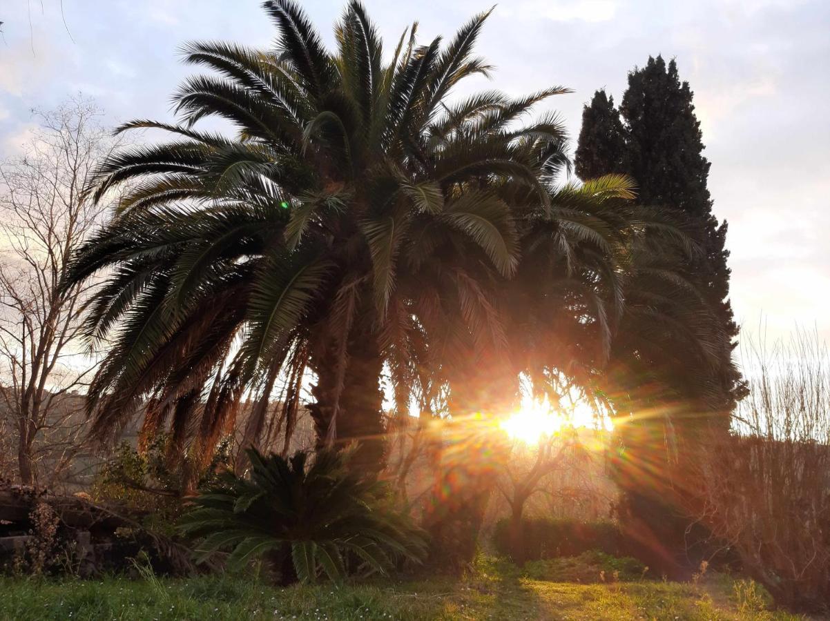 أنكونا La Meriggia Senigallia Agriturismo المظهر الخارجي الصورة
