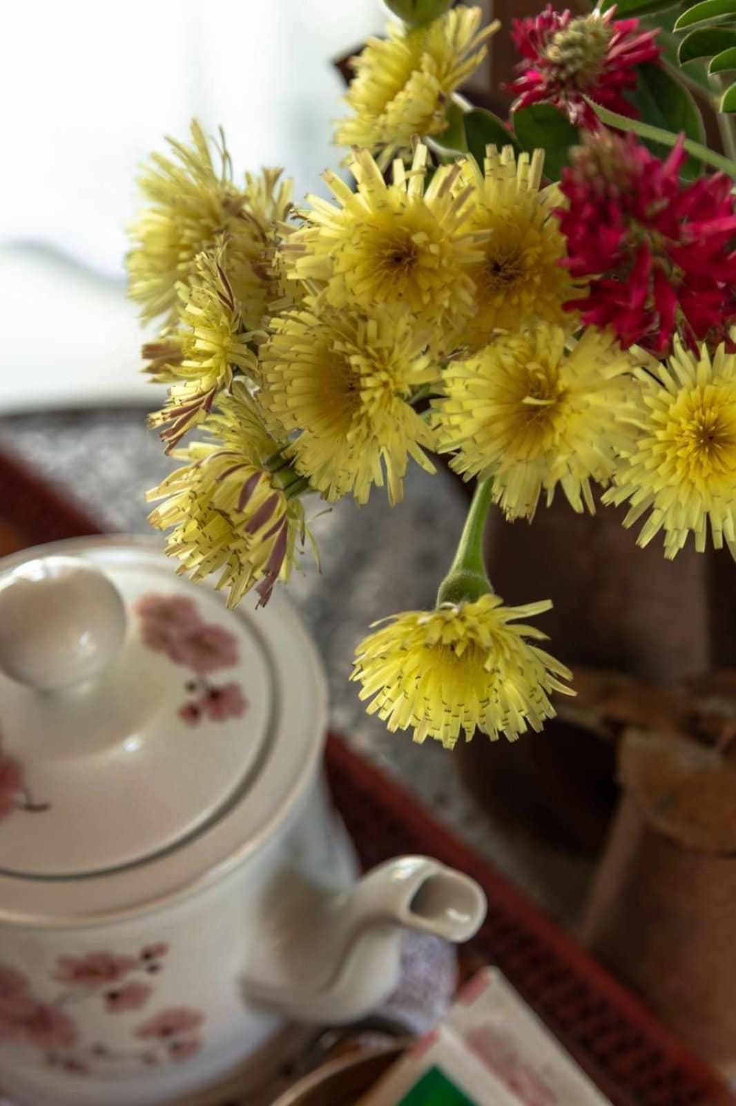 أنكونا La Meriggia Senigallia Agriturismo المظهر الخارجي الصورة